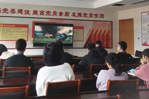 九州娱乐城