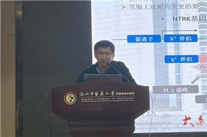 九州娱乐城